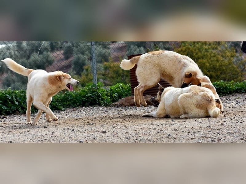 Bamali-wartet in 39291 Hohenwarthe