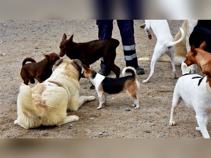 Bamali-wartet in 39291 Hohenwarthe