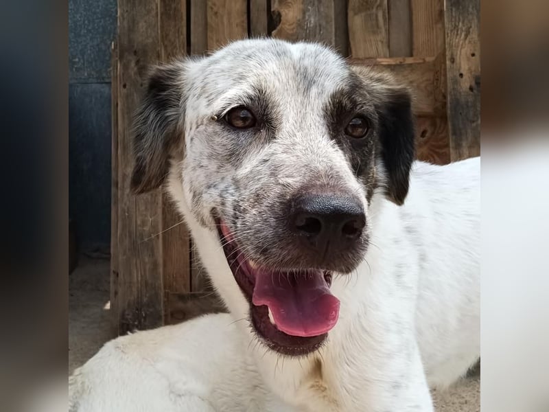 LUNAE - mit wunderbarer Balance