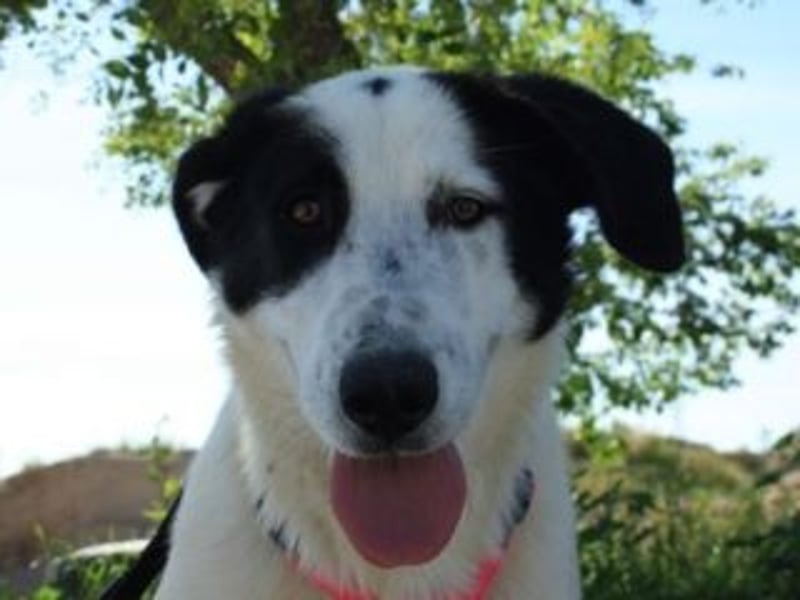 SOL-möchte Ihr ganz großes Herz an liebe Menschen zu verschenken