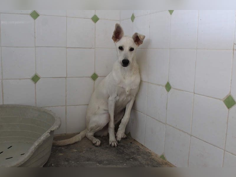 KEN - freundlich, sozial und aktiv