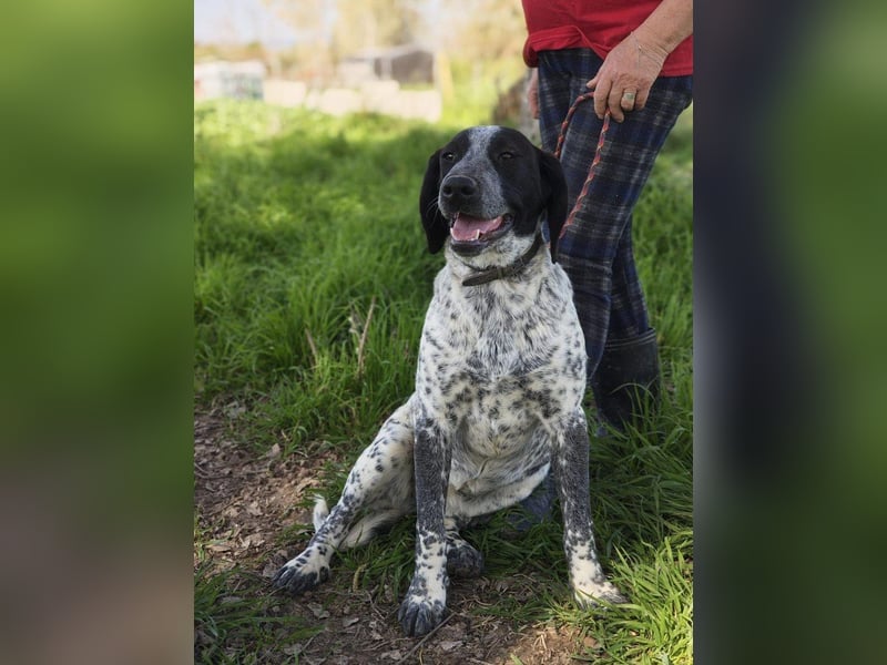 FLECHA-neugierig, sensibel, bewegungsfreudiges Mädchen sucht ihr liebevolles "Für-immer-Zuhause"