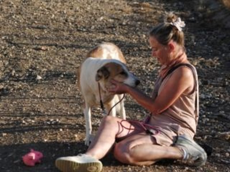 Seelenhündin INDILA-liebe,herzensgute Hündin die ihre Menschen mit Sicherheit glücklich machen wird.