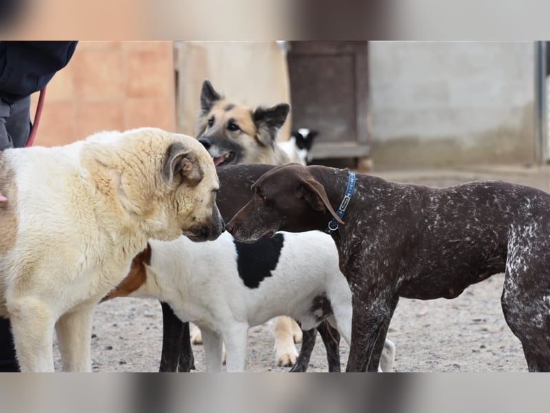 Bamali-wartet in 39291 Hohenwarthe