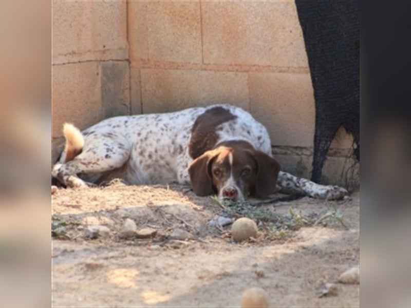 Kapi-hat es verdient in einer Familie aufzublühen