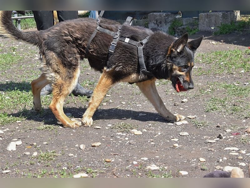 ASSUNTA-beginnt das Leben zu genießen und hat eine liebevolle Familie mehr als verdient