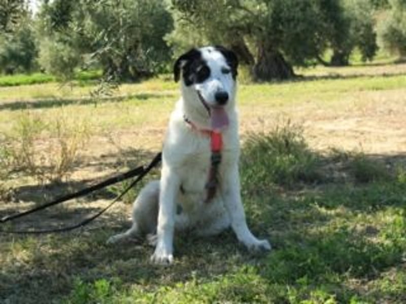 SOL-möchte Ihr ganz großes Herz an liebe Menschen zu verschenken