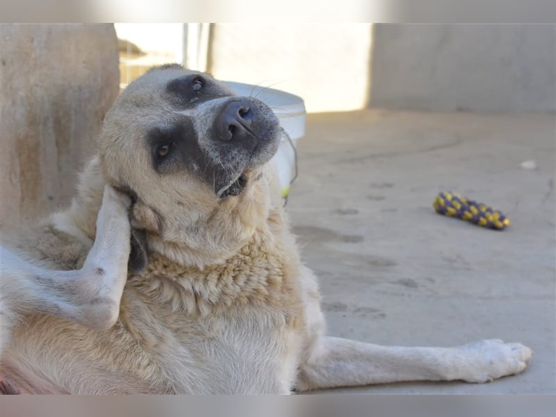 Bamali-wartet in 39291 Hohenwarthe