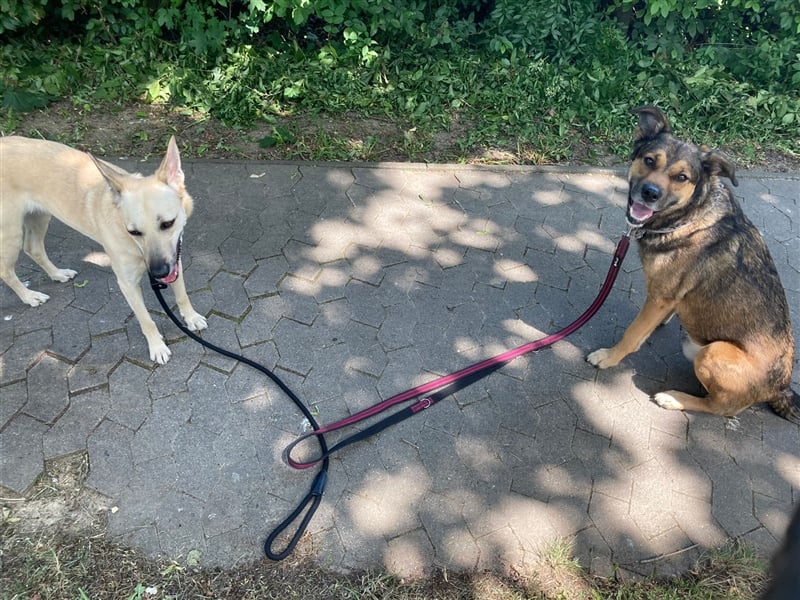 RISCO- wartet in 37115 Nesselröden (Nähe Göttingen)