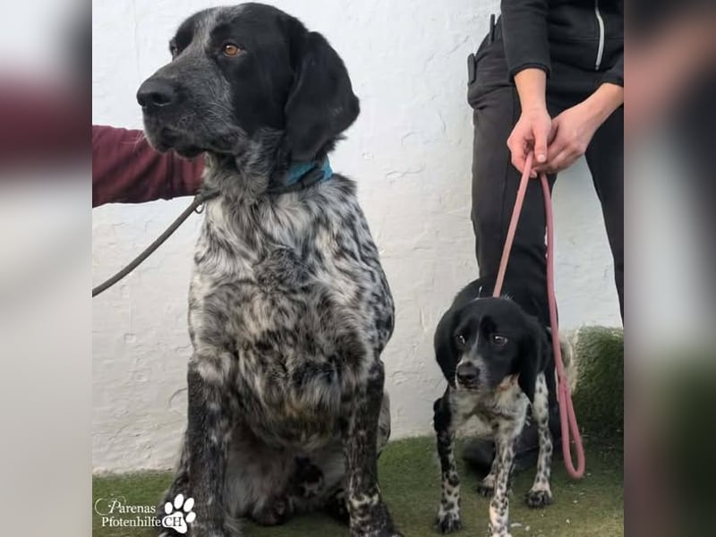 Leandro liebt  Menschen