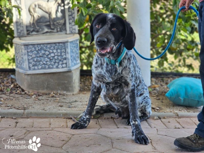 Leandro liebt  Menschen