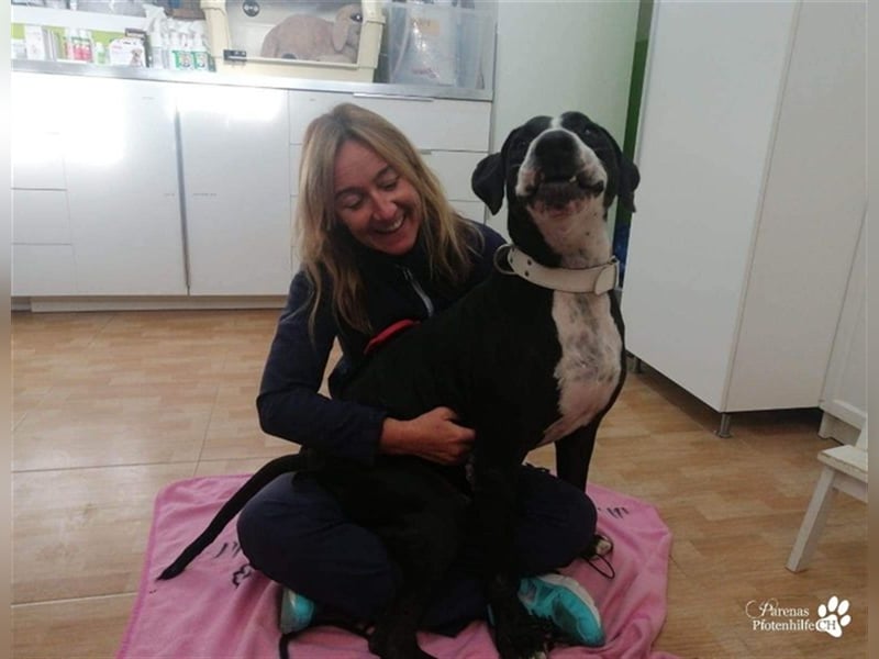 Summit ist ein sehr fröhlicher Kerl mit viel Charme