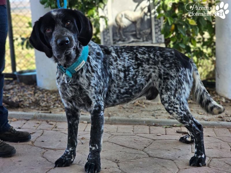 Leandro liebt  Menschen