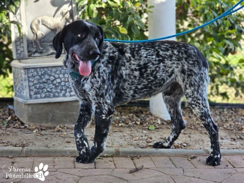 Leandro liebt  Menschen