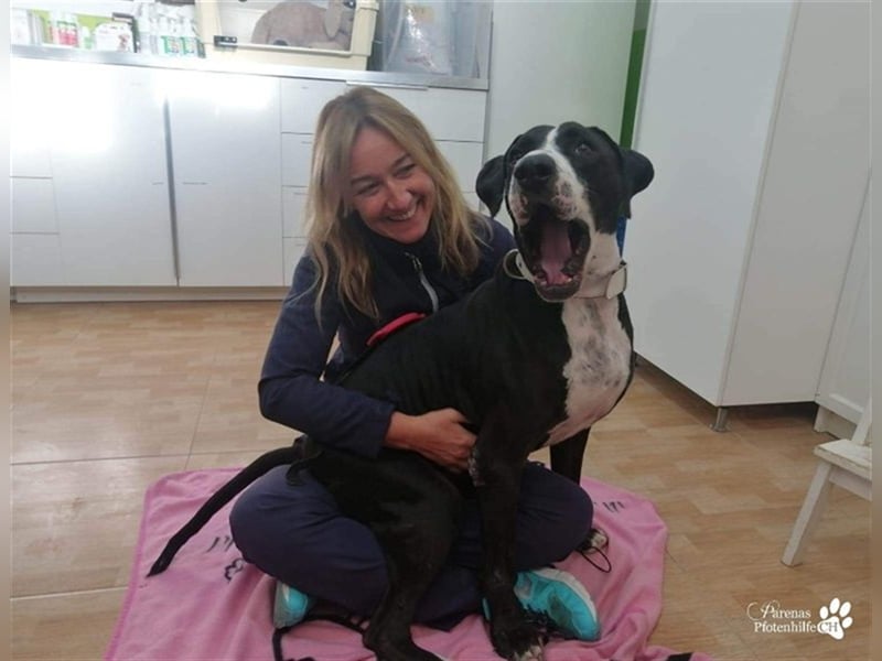 Summit ist ein sehr fröhlicher Kerl mit viel Charme