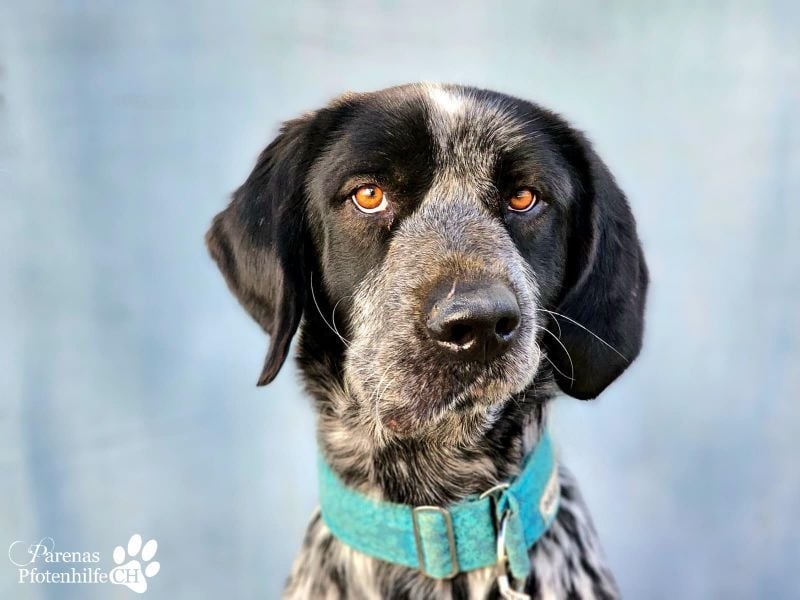 Leandro liebt  Menschen