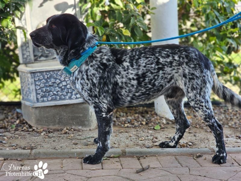 Leandro liebt  Menschen