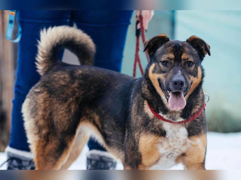 Amira möchte endlich ein liebevolles Zuhause