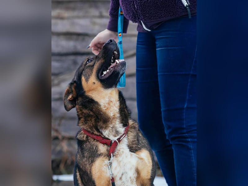 Amira möchte endlich ein liebevolles Zuhause