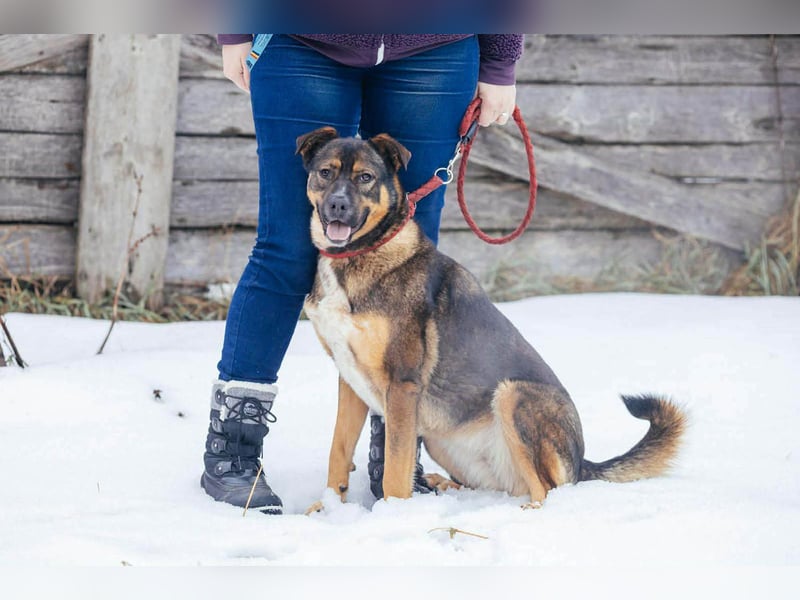 Amira möchte endlich ein liebevolles Zuhause