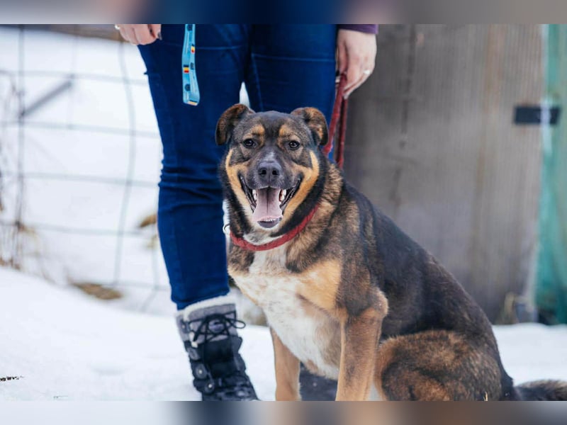 Amira möchte endlich ein liebevolles Zuhause