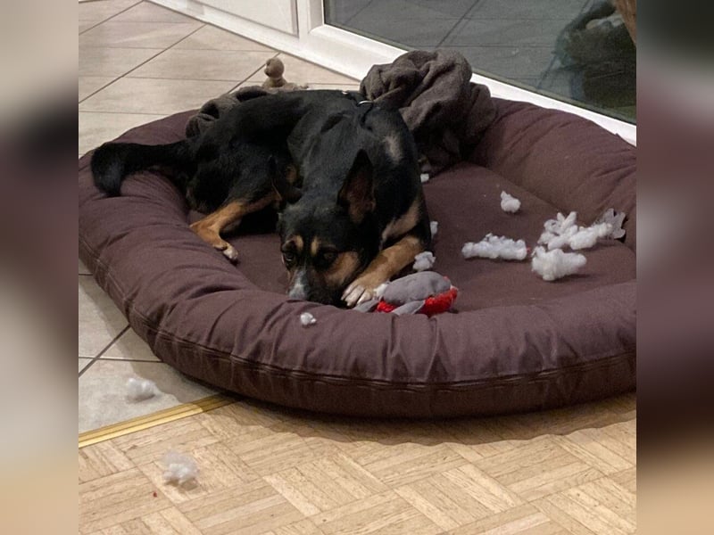 Alma- sucht sportliche Outdoorliebhaber