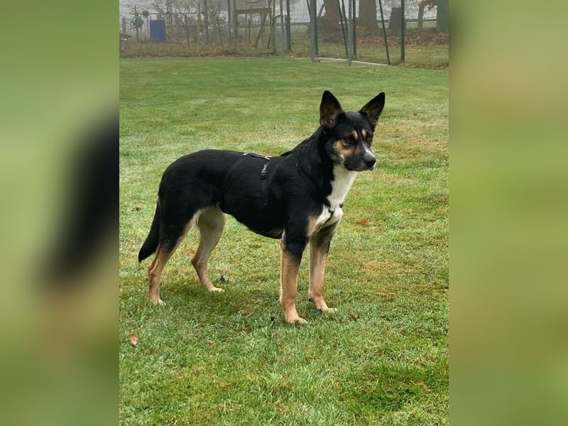 Alma- sucht sportliche Outdoorliebhaber