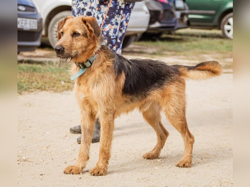 Roland, ein schlaues Bürschchen und sehr aktiv