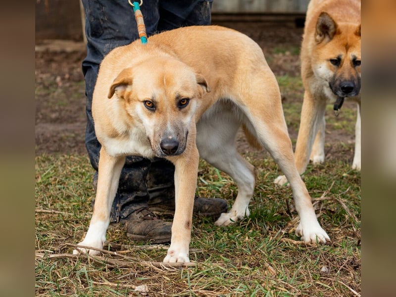 Timida, hübsches Mädel möchte einen Neuanfang starten