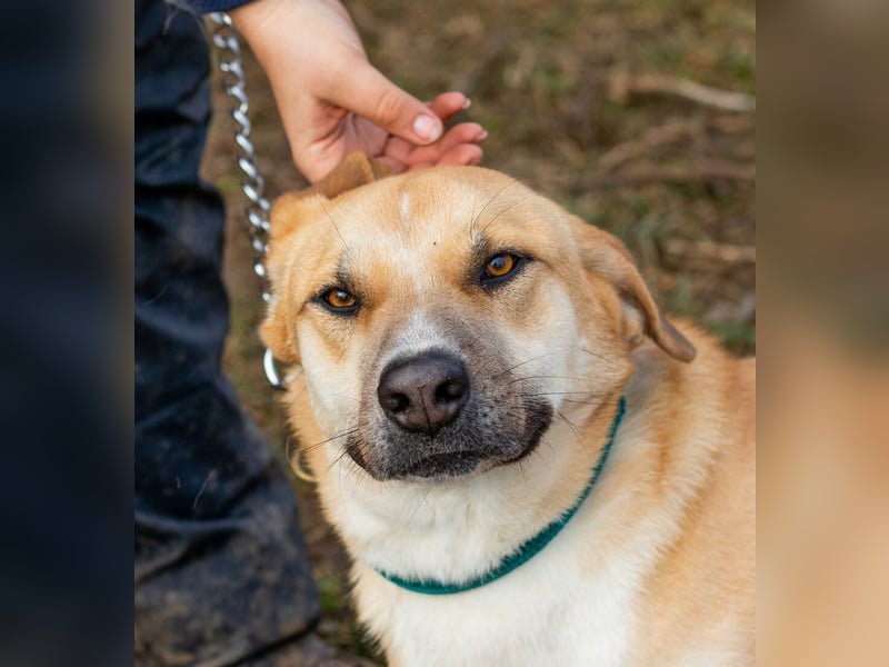 Timida, hübsches Mädel möchte einen Neuanfang starten