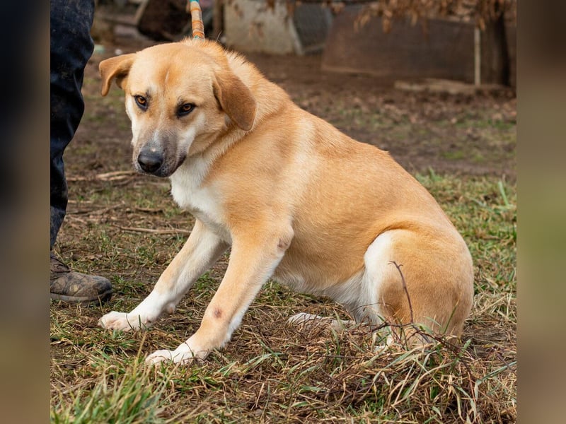 Timida, hübsches Mädel möchte einen Neuanfang starten