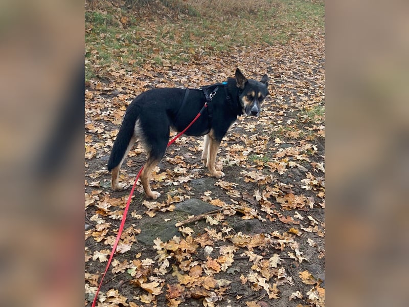 Alma- sucht sportliche Outdoorliebhaber