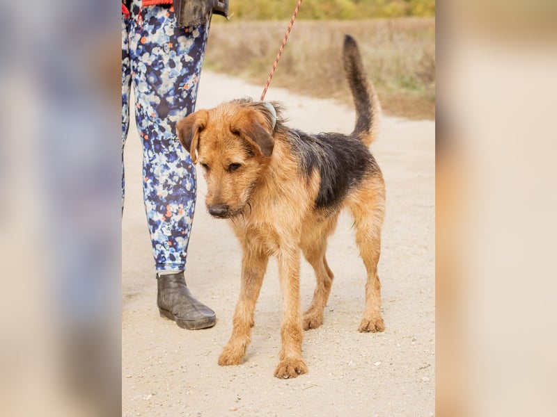 Roland, ein schlaues Bürschchen und sehr aktiv