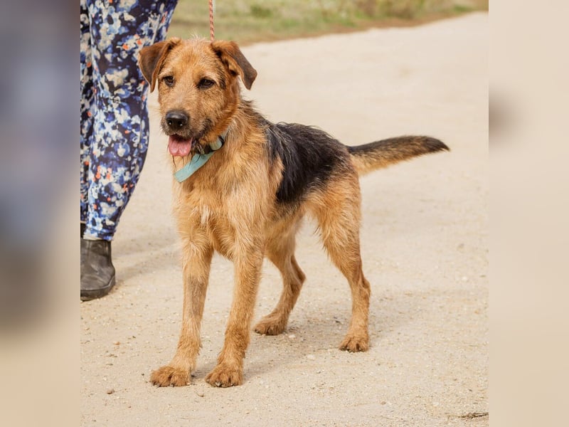 Roland, ein schlaues Bürschchen und sehr aktiv