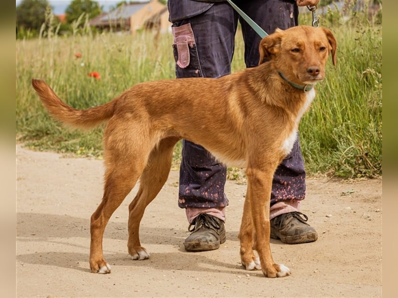 Merida sucht einfühlsame und verständnisvolle Menschen