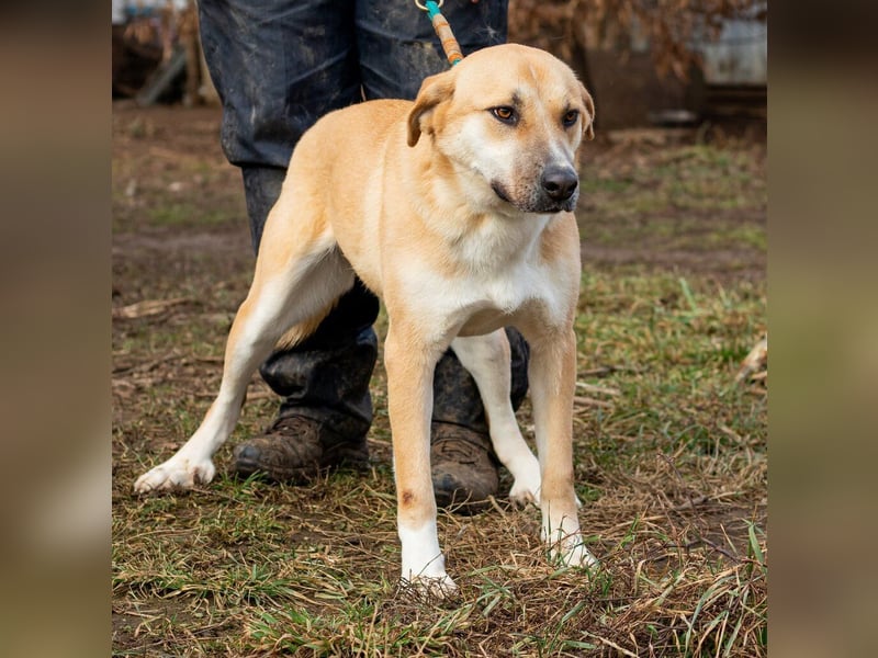 Timida, hübsches Mädel möchte einen Neuanfang starten