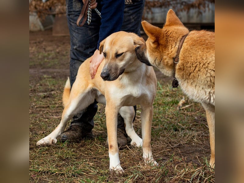 Timida, hübsches Mädel möchte einen Neuanfang starten