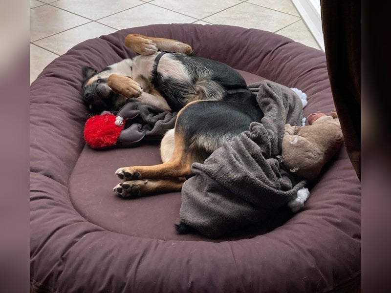 Alma- sucht sportliche Outdoorliebhaber