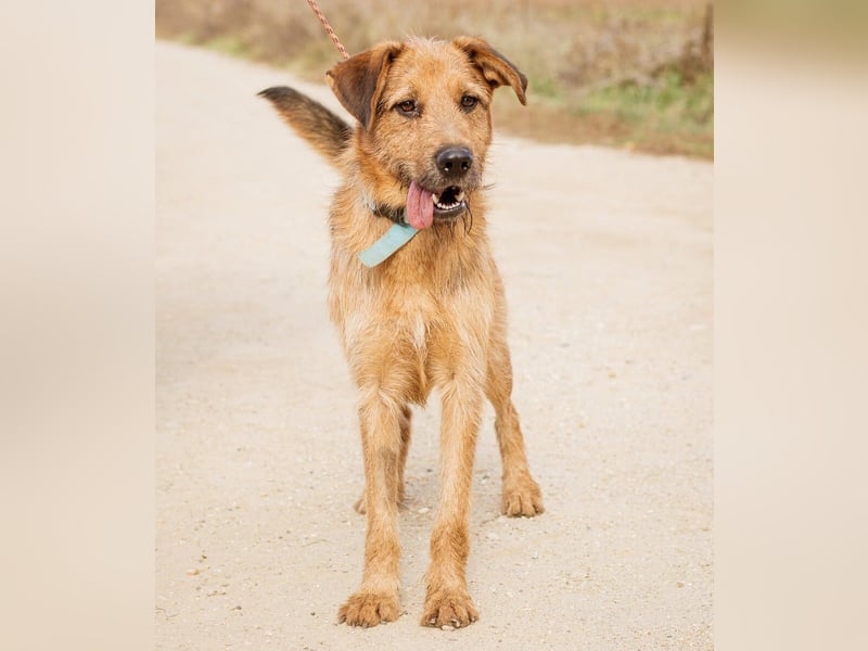 Roland, ein schlaues Bürschchen und sehr aktiv
