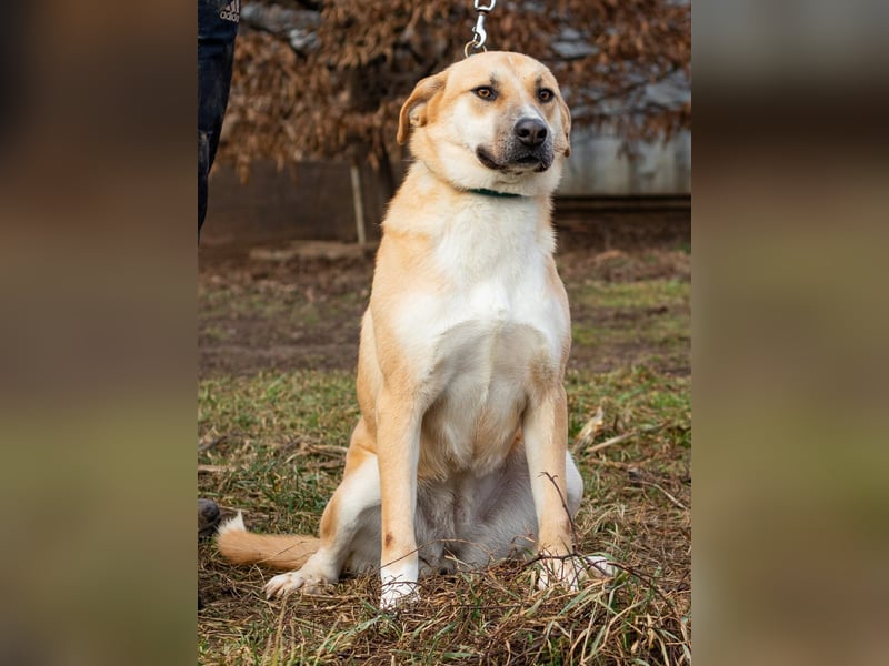 Timida, hübsches Mädel möchte einen Neuanfang starten