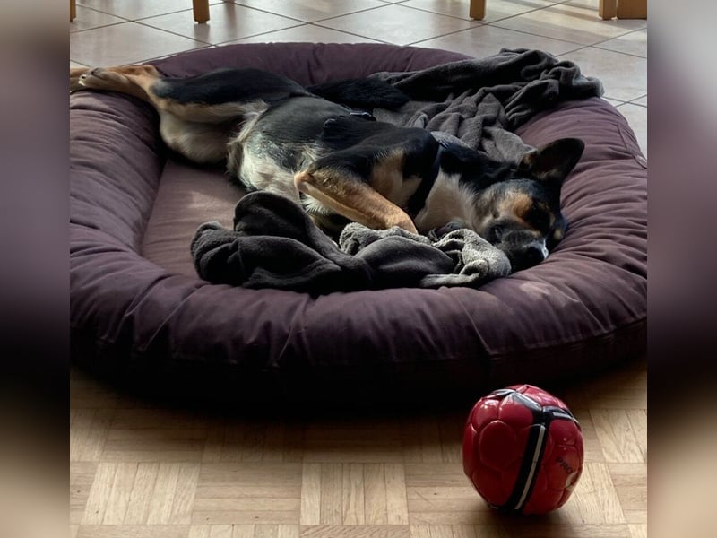 Alma- sucht sportliche Outdoorliebhaber