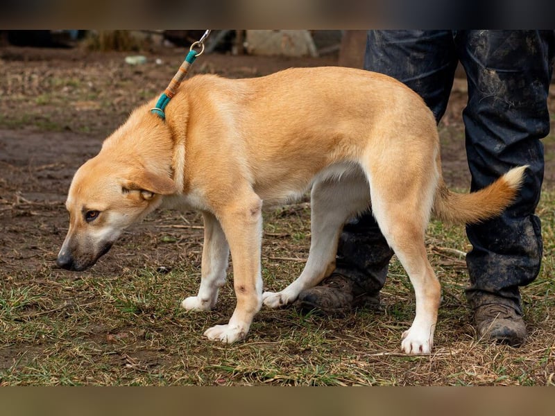Timida, hübsches Mädel möchte einen Neuanfang starten