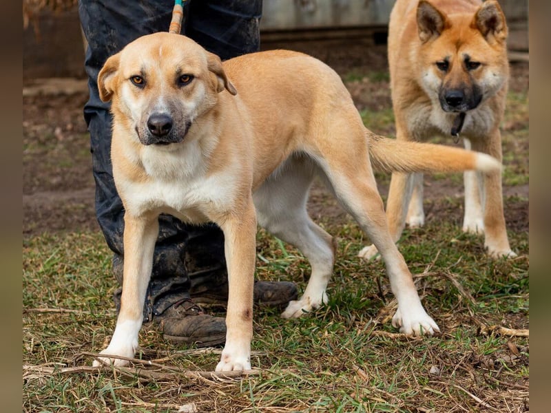 Timida, hübsches Mädel möchte einen Neuanfang starten