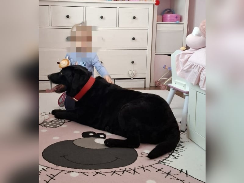 Mia, liebevolle Hündin, manchmal etwas stürmisch