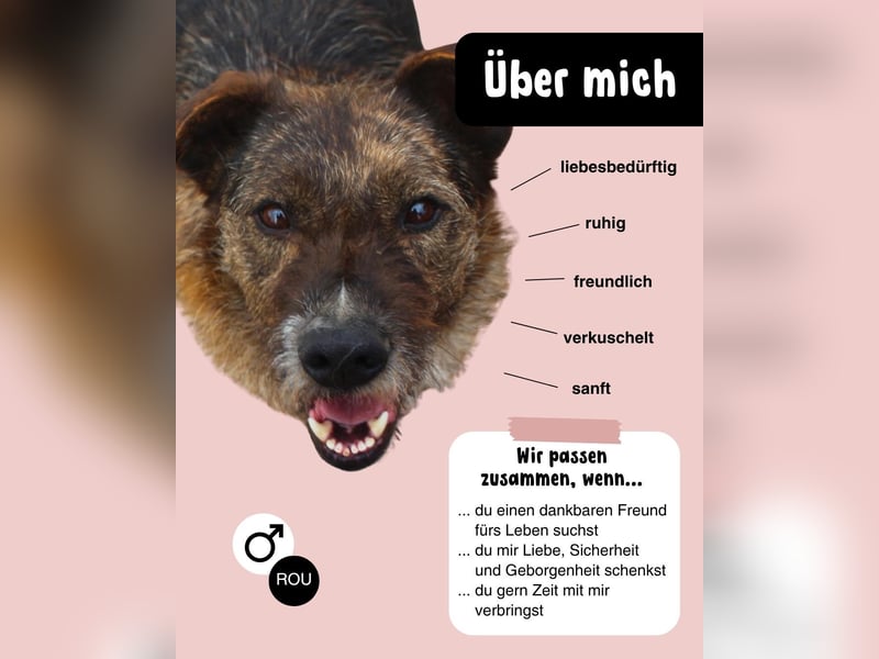 STROMY möchte endlich ankommen