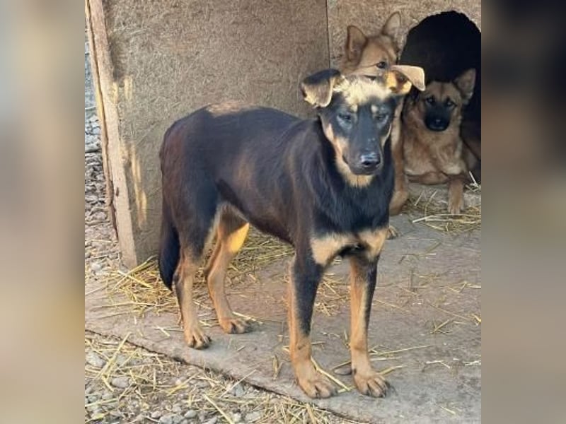 KARLA - darf ich bei dir aufblühen?