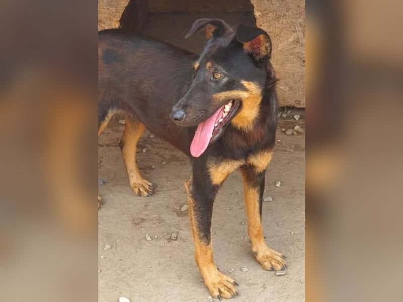 KARLA - darf ich bei dir aufblühen?