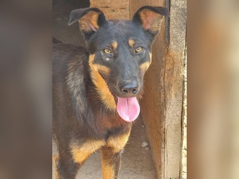 KARLA - darf ich bei dir aufblühen?