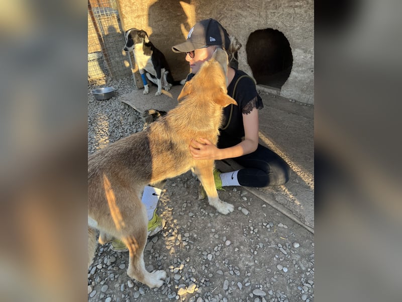 SILLY sehnt sich nach einem Zuhause