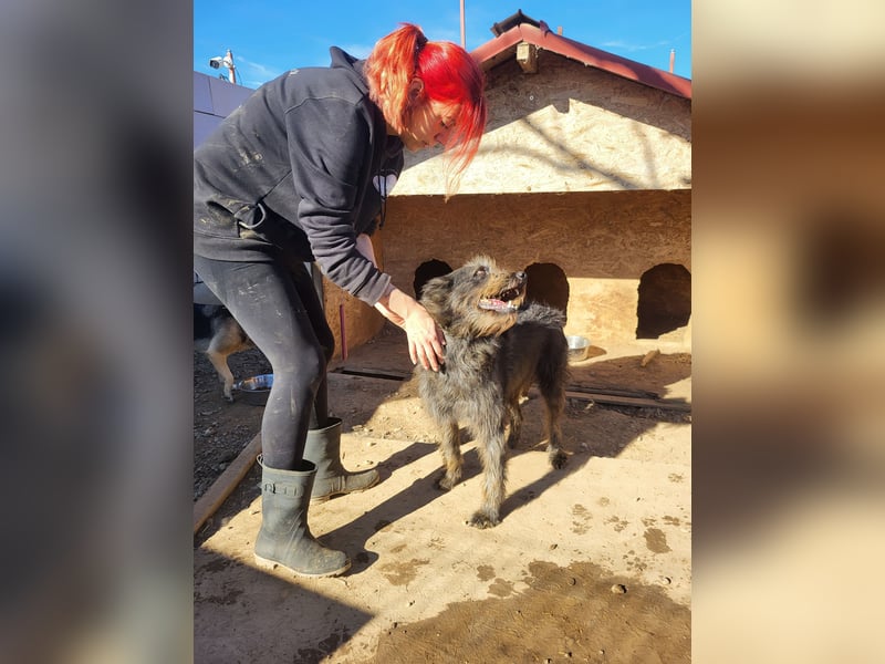 Kuscheliger RICKY sucht sein Zuhause